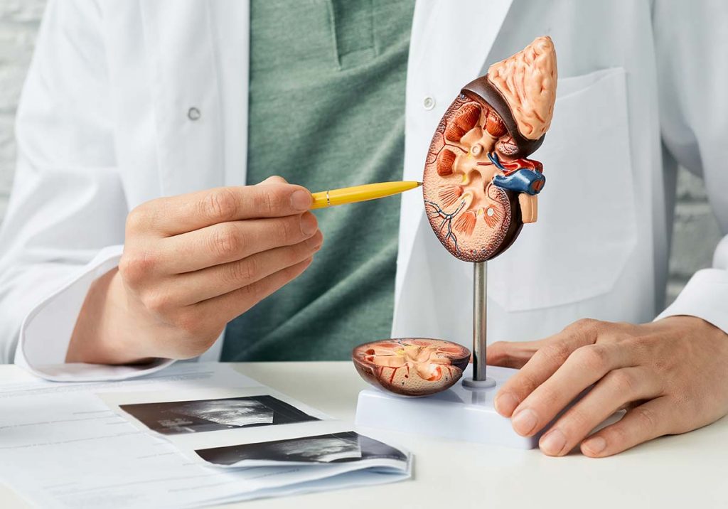 Urološki pregled u Poliklinici Kranjčec u Zadru
